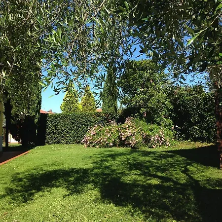 Montebello Bolano